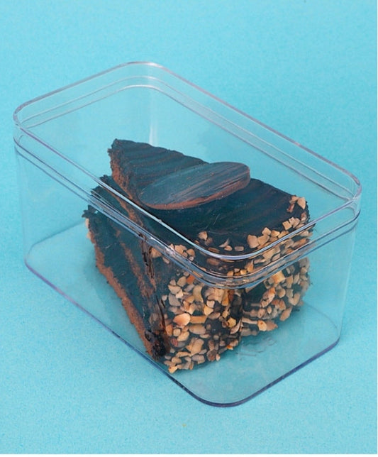 300ML RECTANGLE PS CONTAINER (10PCS)